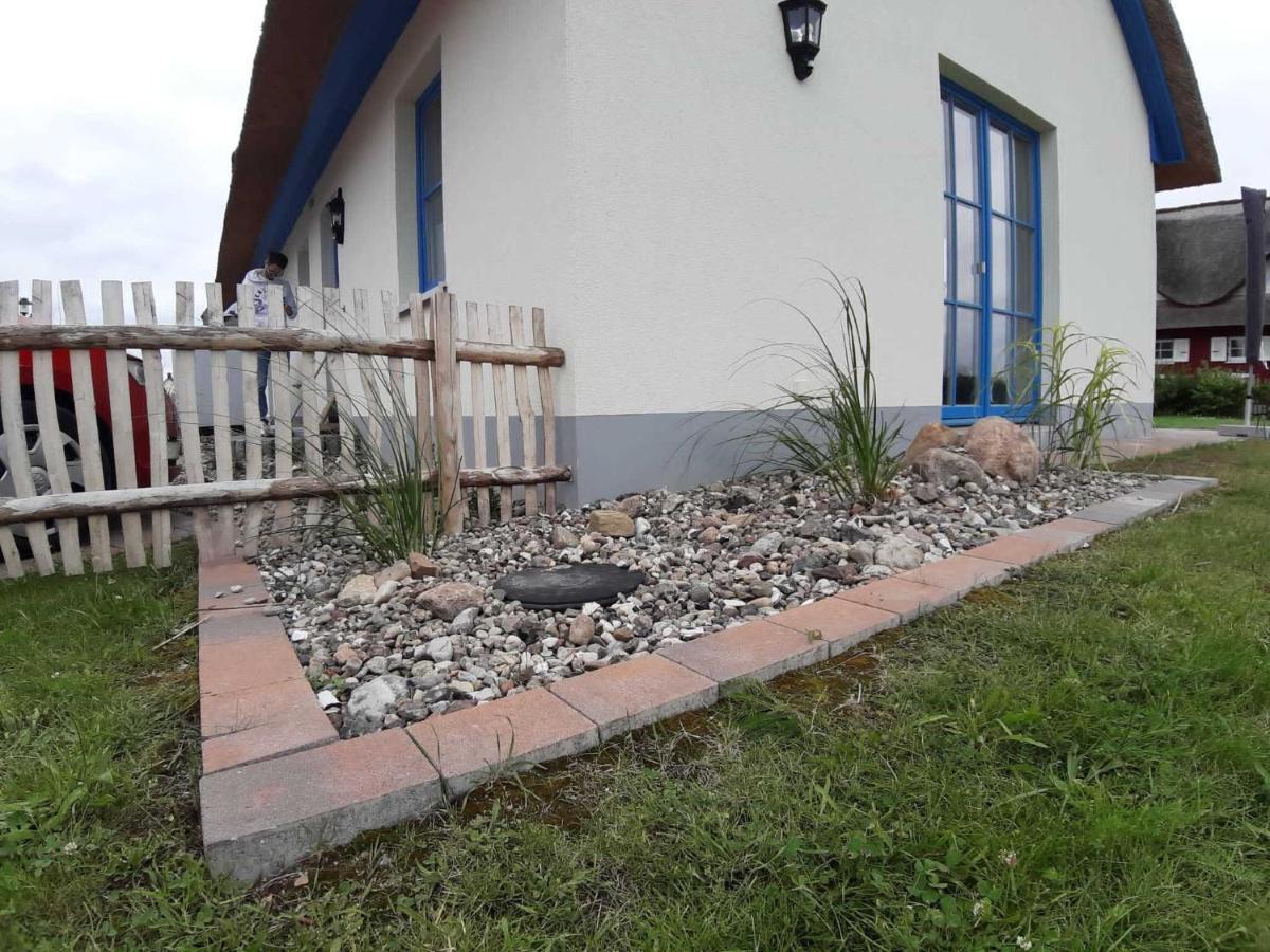 Ferienhaeuser Luv Und Lee Ovs 106 Neu 20 Zierow Dış mekan fotoğraf
