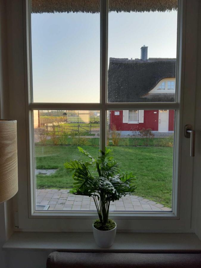 Ferienhaeuser Luv Und Lee Ovs 106 Neu 20 Zierow Dış mekan fotoğraf